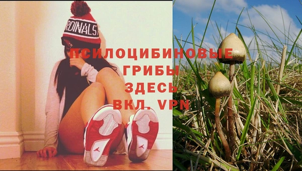 ПСИЛОЦИБИНОВЫЕ ГРИБЫ Лиски